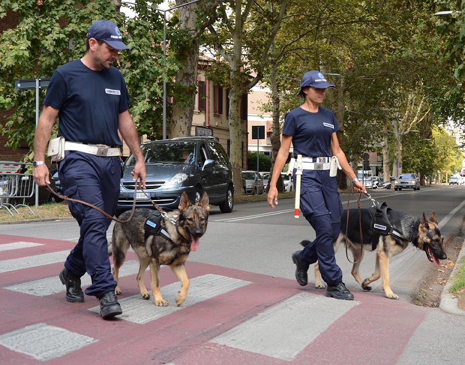 Isitituto di Vigilanza Roma Security.it